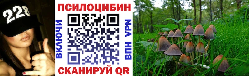 Псилоцибиновые грибы MAGIC MUSHROOMS  мега ONION  Княгинино 